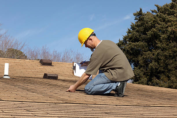 Best Roof Moss and Algae Removal  in San Lorenzo, CA